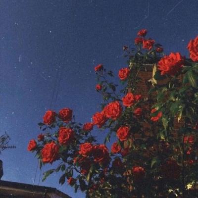 华体育下载手机版