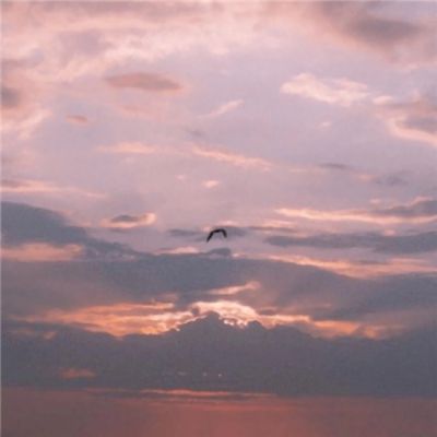 bb贝博官方平台下载