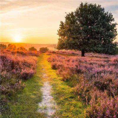 2023年香港资料精准下载手机版