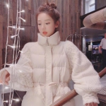 加拿大pc入口app下载